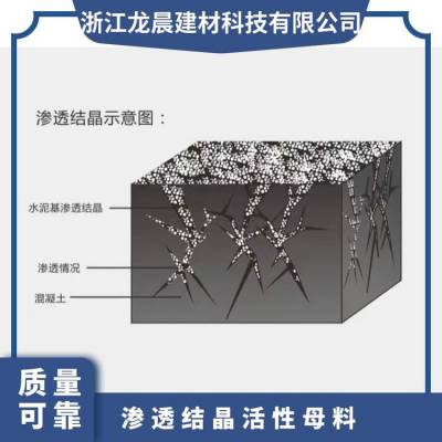 龙晨防腐涂料与基层粘结牢固防水效果长久水泥基渗透结晶母料生