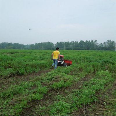 小型轻便油菜籽收割机 家用柴油动力谷子象草收割机