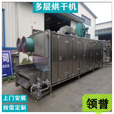 领誉 厂家 定制连续式多层带式干燥机 连续式带式烘干机设备