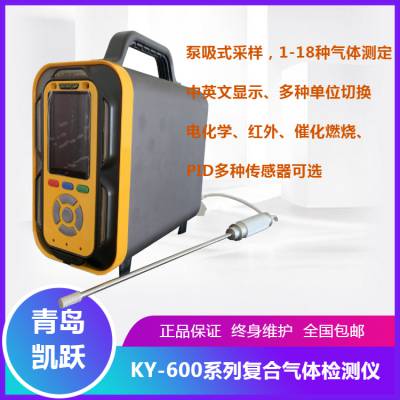 凯兴佳跃 KY-600系列复合气体检测仪 多种有害气体分析仪