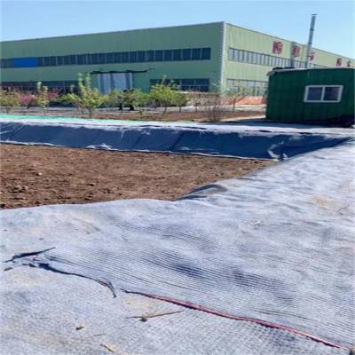 莆田混凝土水泥毯,人工湖15kg水泥硬化毯