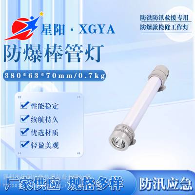 磁吸泛光照明灯多功能LED工作灯手持棒管灯FW6600防爆检修灯