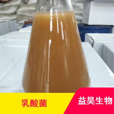 益昊生物 江苏调理肠道兽用益生菌 水产养殖乳酸菌 微生物菌剂