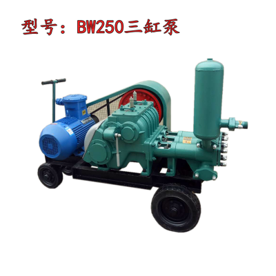 ŷˮ©豸BW250עʯع