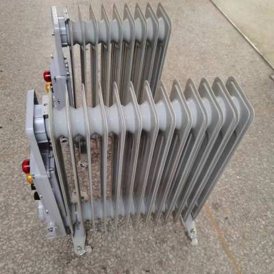 防爆移动式电热油汀1500-2500W防爆电暖气取暖器可自由移动取暖