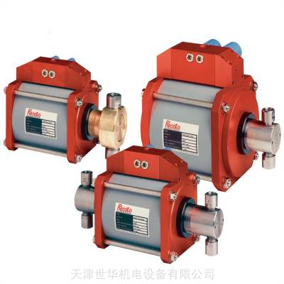 荷兰resato泵P200-400-2/U/V 天津世华机电设备