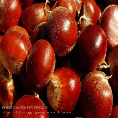 ũҵ ߲ ޽Ӻ ڹӦ
