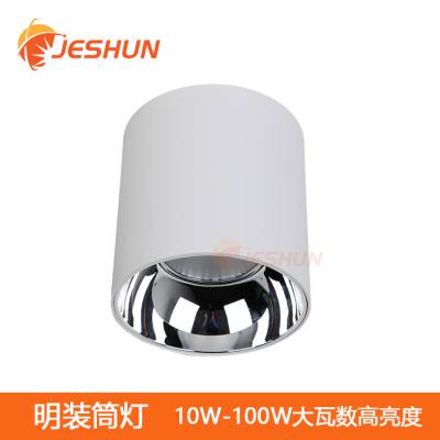 万达广场中庭吊装灯 明装筒灯50W60W80W/8寸100W吸顶灯