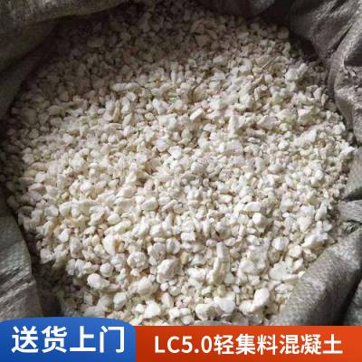 lc5.0轻集料混凝土 桥梁伸缩缝抢修施工用 抗裂减震 现场浇筑 嘉贤