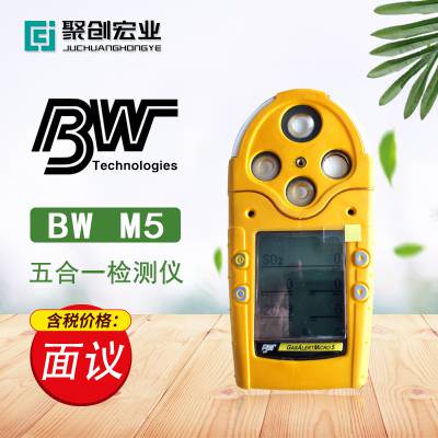 加拿大BW GasAlertMicro5 M5系列多功能气体检测仪