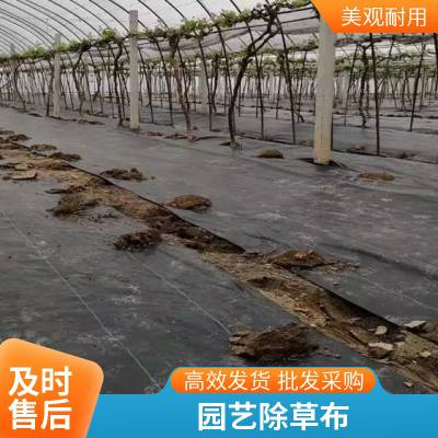 大棚育苗专用防草布 打孔开缝园艺地布 茶园专用除草布厂家