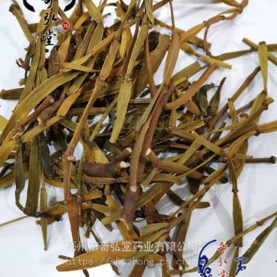 奇弘堂批发枫寄生 产地***
