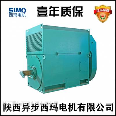 西玛电机Y5304-6/1250KW/10KV高压电机启动***