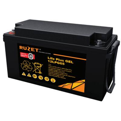 法国RUZET蓄电池12LPG200路盛GEL蓄电池12V200AH UPS/EPS储能用