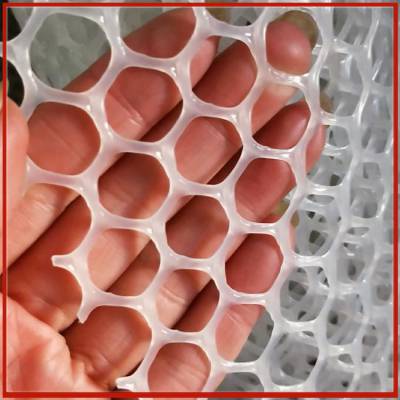白色小孔脚垫网厂 大鹏温室苗床网定做 2厘米孔黑色塑料网生产