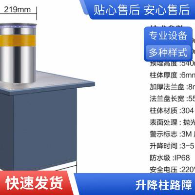 光州未来 升降柱 小型反恐防撞柱 多功能路口挡车柱路桩