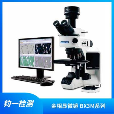 OLYMPUS BX3M系列BX53M 工业金相显微镜 失效分析