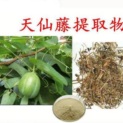 譙城區中藥天仙子別名莨菪子,莨菪實價格,牙痛子批發,小顛茄子圖片,米