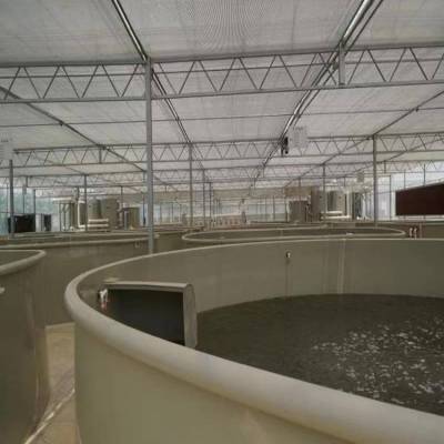 工业化循环水养殖-高密度水产养殖设备-PP孵化池、养鱼、养虾孵化桶