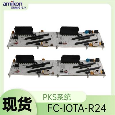 FC-IOTA-R24ն