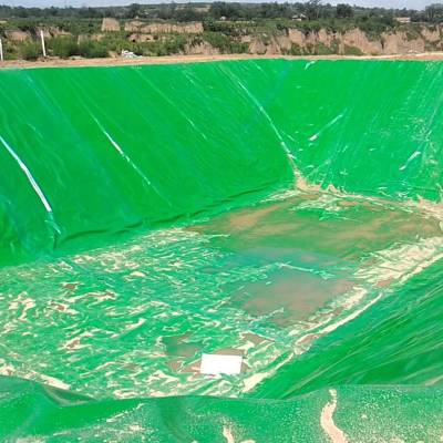 绥德县 绿色防水土工膜 晟阳鱼塘水产养殖防渗膜防水膜