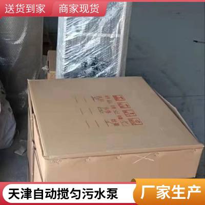 大流量无堵塞排泥泵 自动搅匀排污泵 北京碧源