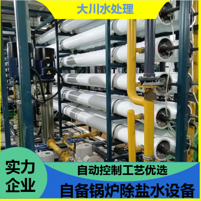 大川水处理 纸巾厂工艺用卫生级超纯水设备EDI除盐水系统 进口模块
