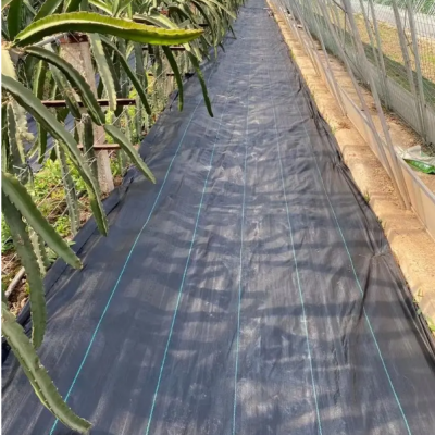 寻防草布厂家-高质量生产苗圃盖草布果树除草布规格多