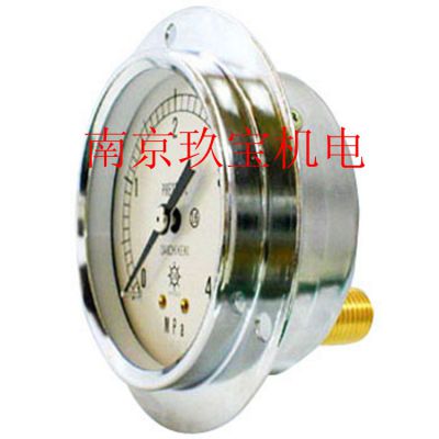 OPG-DT-R1/4-39x16Mpa-S ձASKѹ 