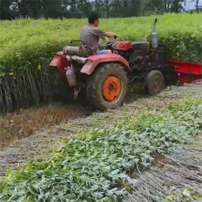 安阳艾草收割机 四轮配套全链条割艾机 小型收艾机厂家