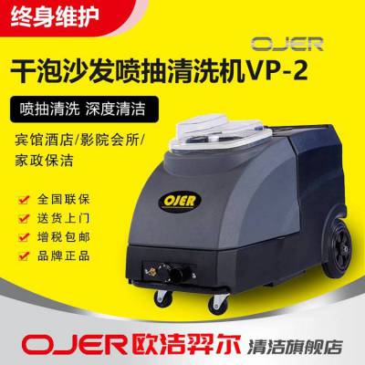 Wࠖ OJER ɳl(f)ϴC(j) VP-2 ˢϴ ɳl(f)|̺ Ƶe^ӰԺ(hu)h