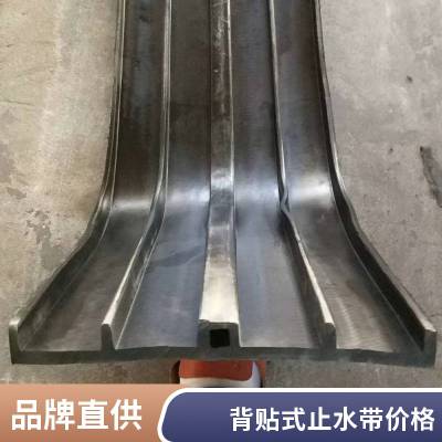 中埋式橡胶止水带 桥梁隧道建筑施工用 各种规格型号可定制