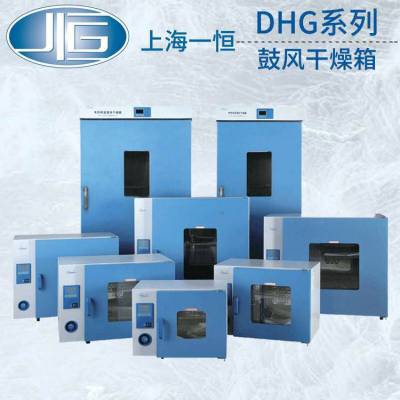 上海一恒电热鼓风干燥箱DHG-9123A