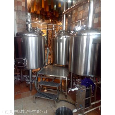 300L精酿啤酒设备 啤酒发酵罐 厂家直销