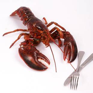 ൺ䶳ڱ 䶳зڱ ȡ