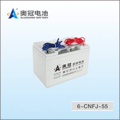 奥冠蓄电池6-CNFJ-55免维护胶体电源12V5***H太阳能光伏备用