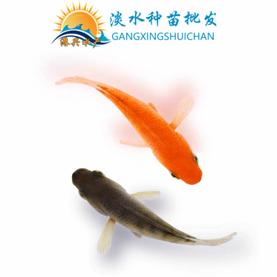 ޷긣ټ޷Ǻˮֳͻ ˮ