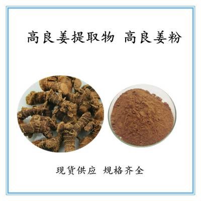 沃特莱斯供应 高良姜提取物10：1 规格齐全 高比例萃取 可按需定制