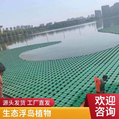 圆形生态浮岛 水上植物种植浮床 水面绿化水上人工浮板