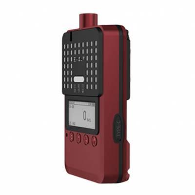 特安ESP210便携式泵吸式气体检测仪H1/HP1/H4/HP4