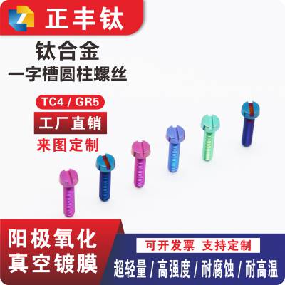 钛合金开槽螺丝 TC4一字槽圆柱螺钉 高强度螺栓 M2M4M6M8 加工定制