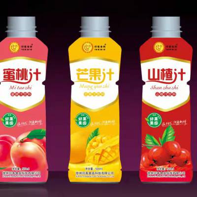 印客食科：果汁饮料