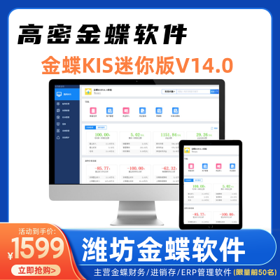 高密金蝶KIS云迷你版V14.0 简单的财务软件