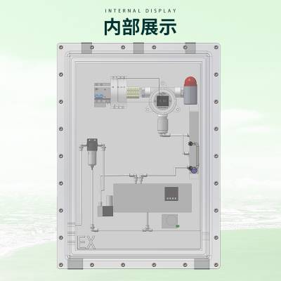 气体实时连续检测预处理系统 甲硫醇CH4S气体浓度探测报警器