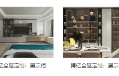 昭通个性特色全屋定制企业 贴心服务 云南飞科家居供应