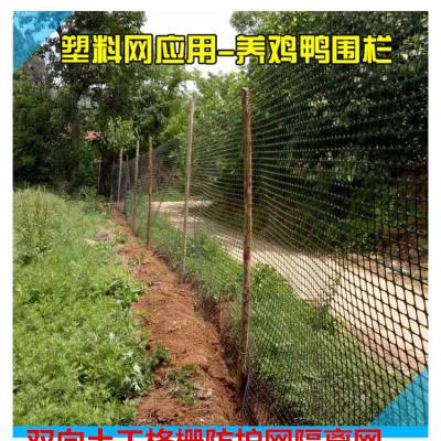 养殖塑料格栅 矿用阻燃假顶网 双向塑料格栅网