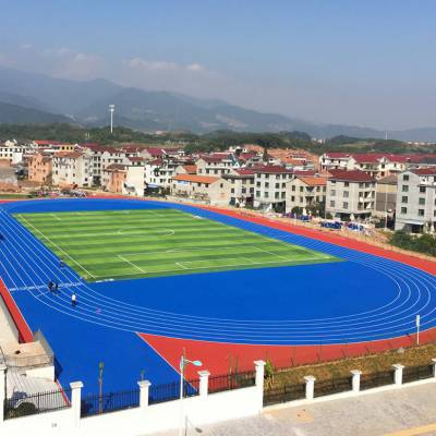 长沙塑胶跑道施工_承接球场跑道工程_学校塑胶跑道球场建设施工_长沙足球场草坪铺设安装_能冠体育