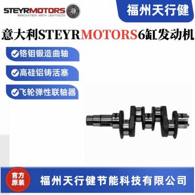 ֱԭSTEYR-MOTORSͧSE236E40-Z010207-0