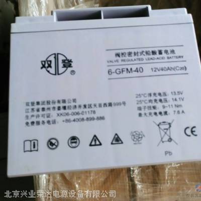 ˫6-GFM-38/12V38AH ֱ
