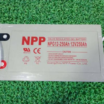 NPPNP250-12 12V250AH Ǧά Ϻֻ۸